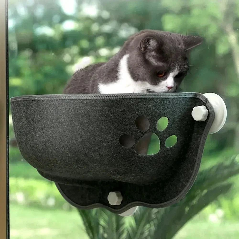 Lit chat fenêtre ventouse - Vue panoramique & confort assuré