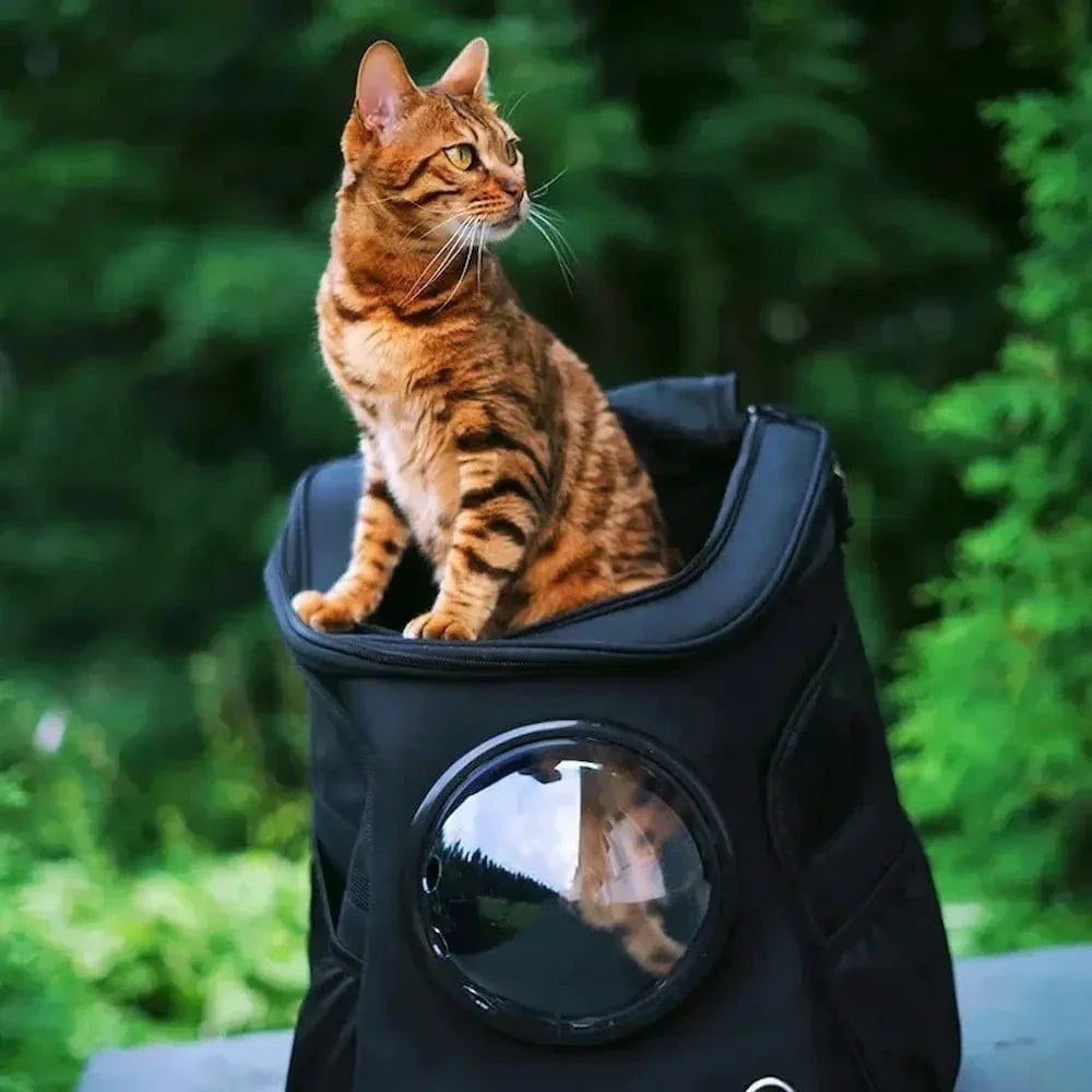 Sac à dos chat astronaute - vision 360° | Lunapet