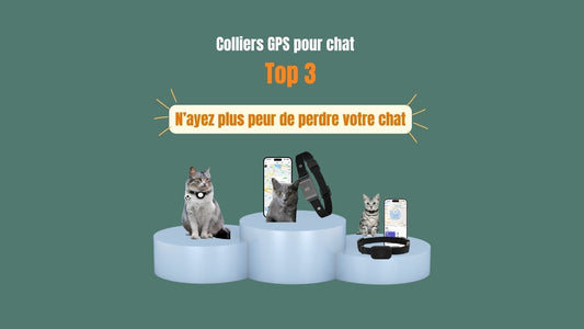Top 3 des colliers GPS pour chats sans abonnement