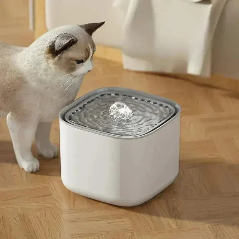 Comment améliorer l’hydratation de votre chat grâce à une fontaine à eau ?
