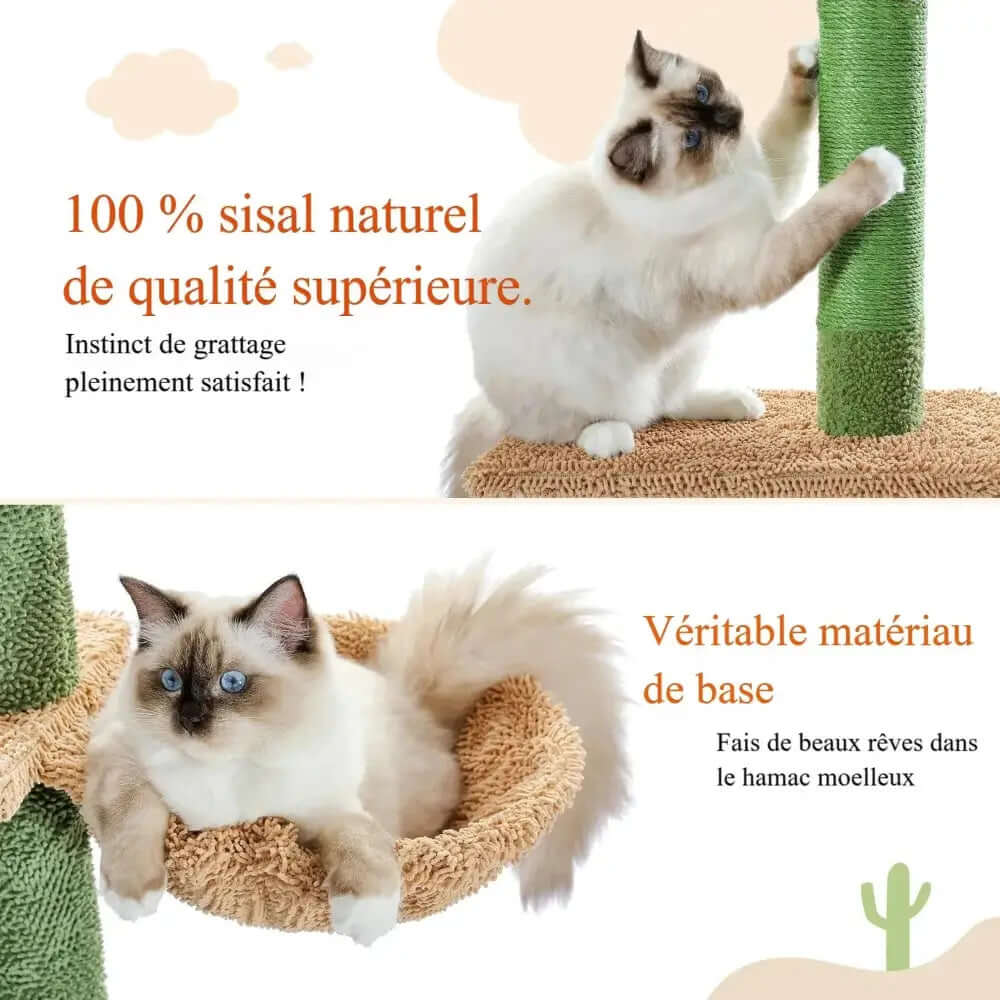 Arbre à chat cactus - Déco & griffoir | FeliCactu