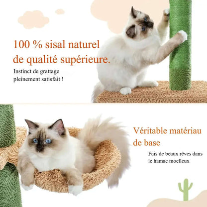 Arbre à chat cactus - Déco & griffoir | FeliCactu