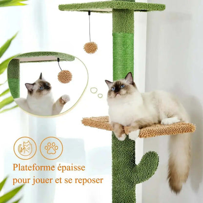 Arbre à chat cactus - Déco & griffoir | FeliCactu