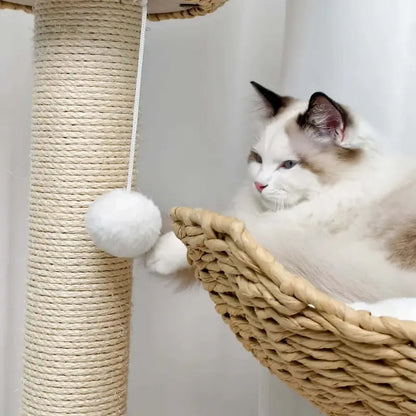 Arbre à chat design luxe - Élégance & confort | Treeluxy