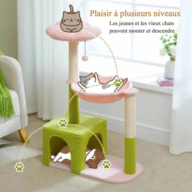 Arbre à chat fleur - Déco & confort | MyFlora