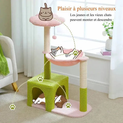 Arbre à chat fleur - Déco & confort | MyFlora
