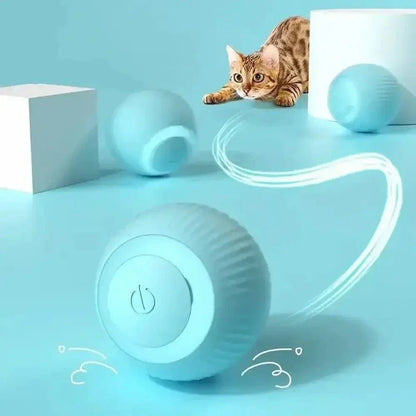 Balle interactive chat - Jeu stimulant garanti