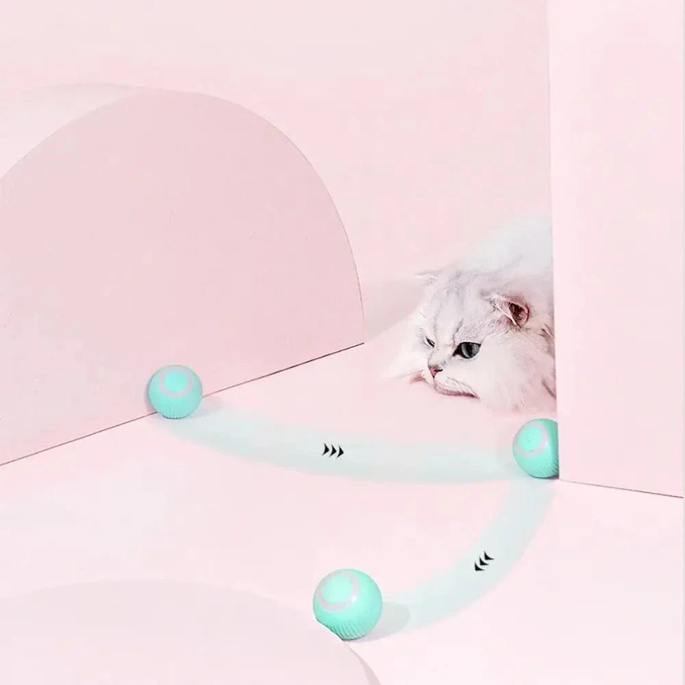 Balle interactive chat - Jeu stimulant garanti