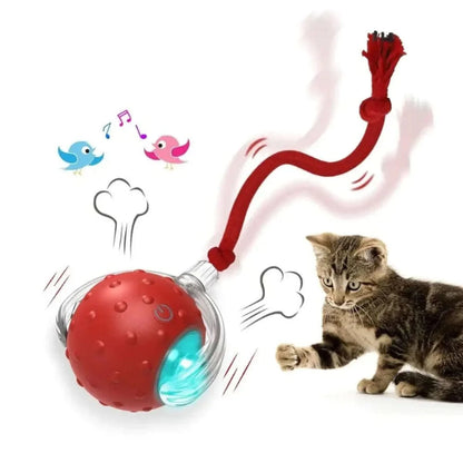 Balle magique pour chat - La balle interactive