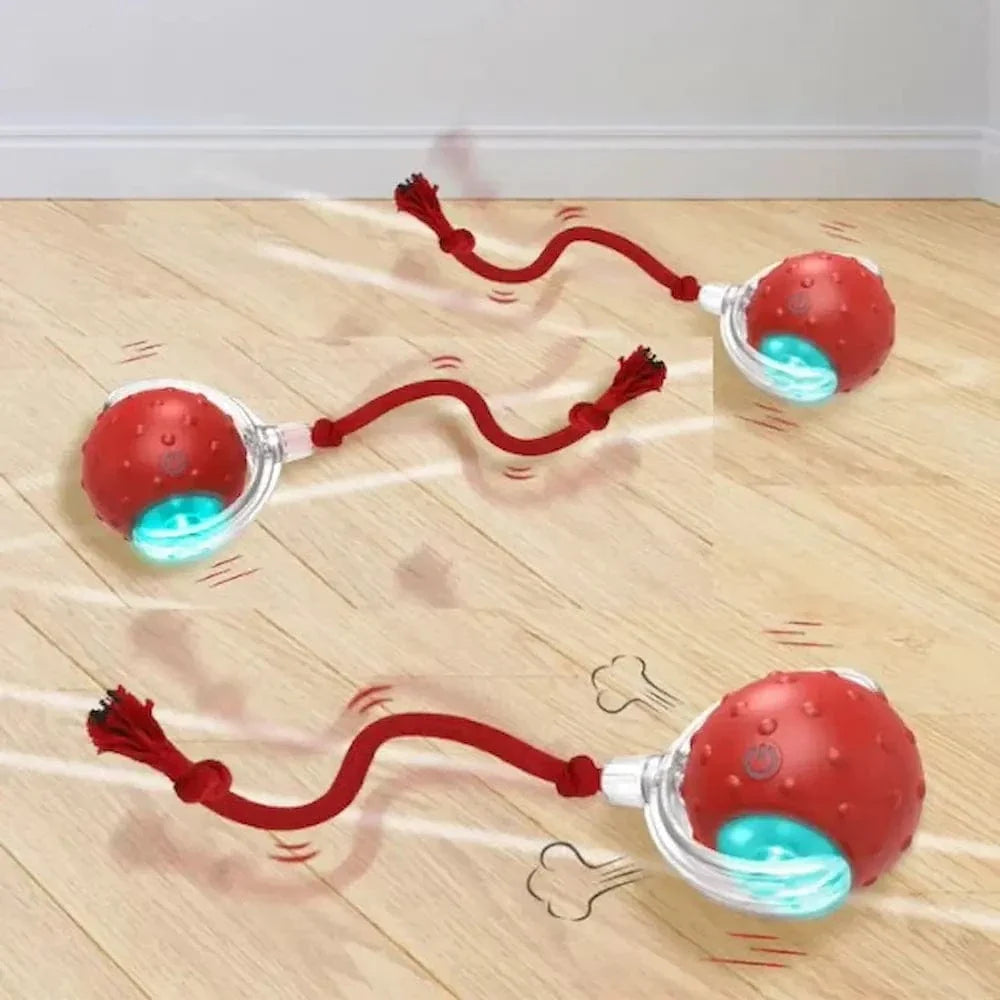 Balle magique pour chat - La balle interactive