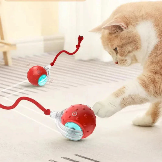 Balle magique pour chat - La balle interactive