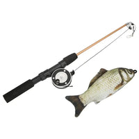 Poisson 1