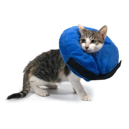 Collerette gonflable pour chat - Griffe d'Amour