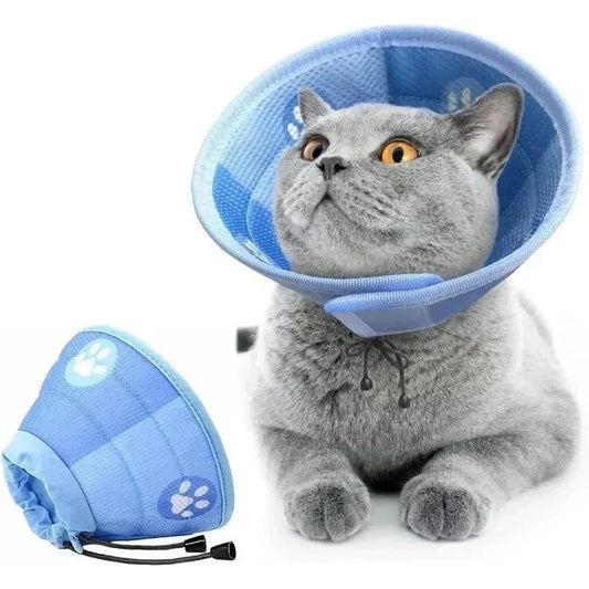 Collier anti-léchage pour chat