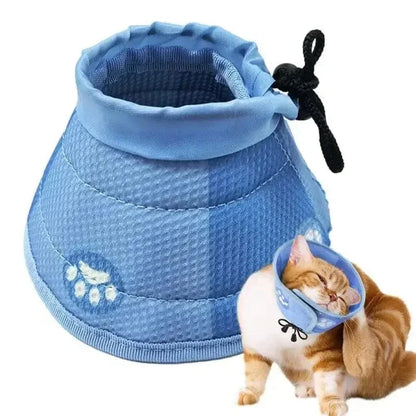 Collier anti-léchage pour chat