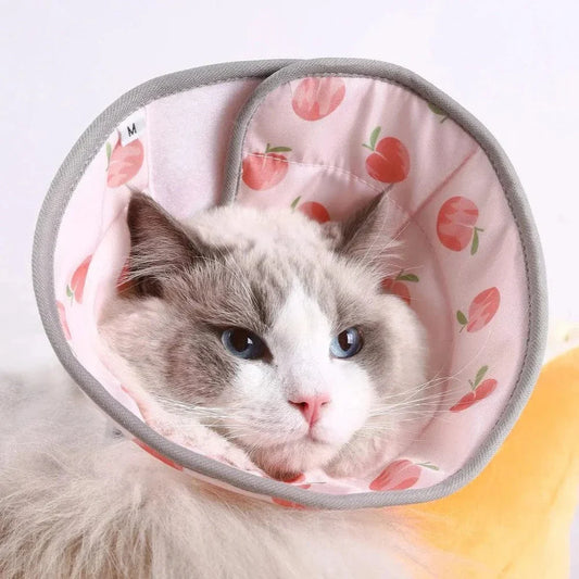 Collier de récupération chat