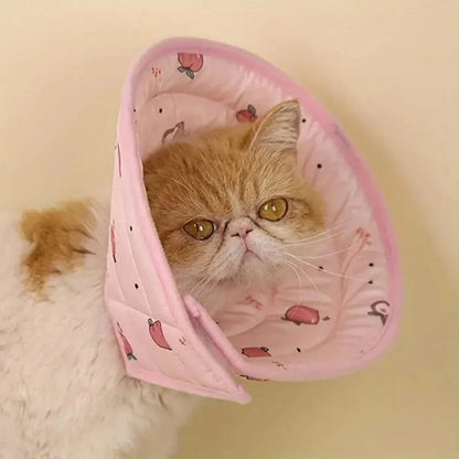 Collier de récupération chat