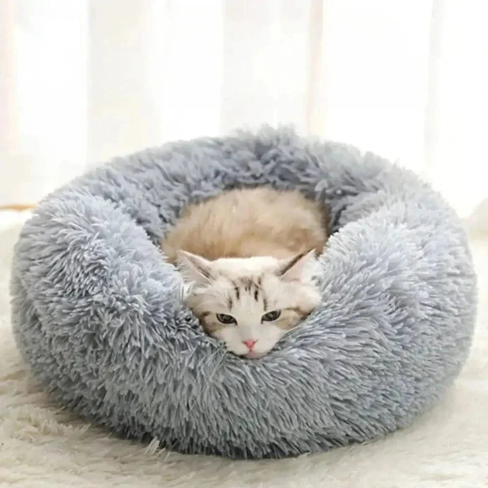 Coussin apaisant chat - Confort et sécurité