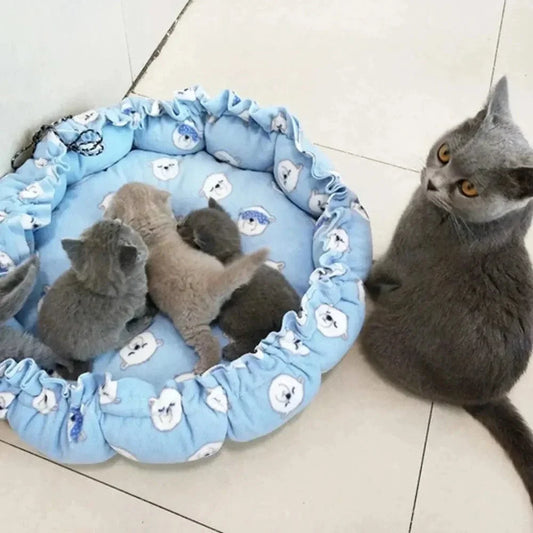 Coussin douillet pour chat - Cocoon de confort