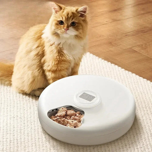 Distributeur automatique de croquettes - 6 repas pour votre chat