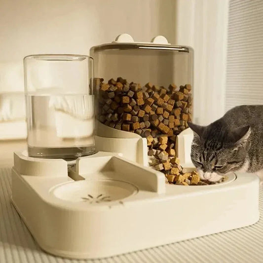 Distributeur de croquettes et eau pour chat