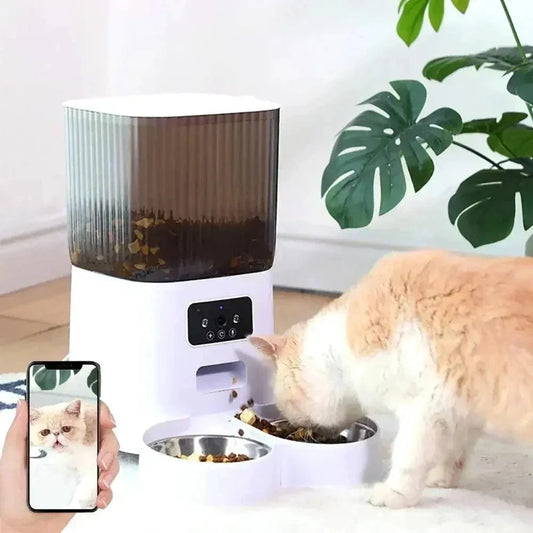 Distributeur de croquettes pour chat avec caméra