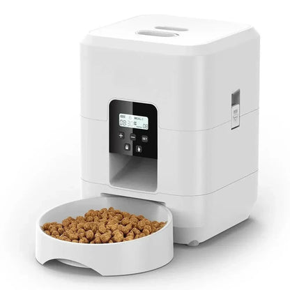 Distributeur programmable de croquettes pour chat