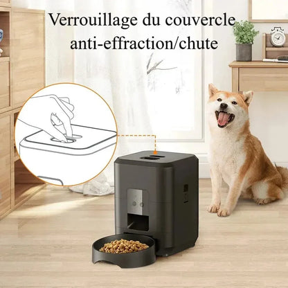 Distributeur programmable de croquettes pour chat