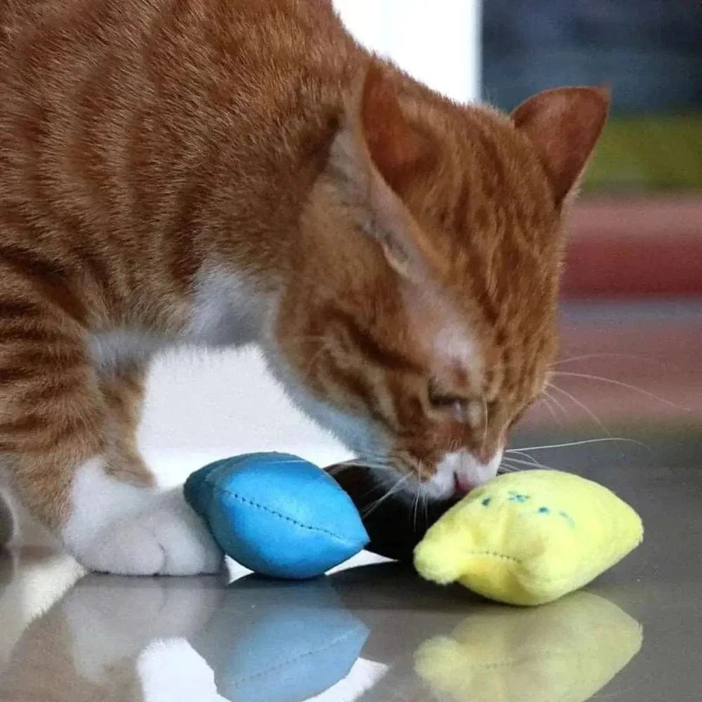 Doudou pour chat - Réduit le stress & l’anxiété