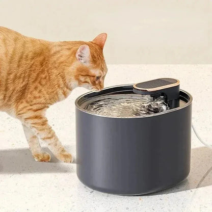 Fontaine à eau chat 3L - Eau fraîche et filtré