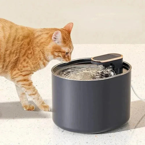 Fontaine à eau chat 3L - Eau fraîche et filtré