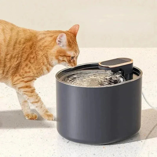 Fontaine à eau chat 3L - Eau fraîche et filtré