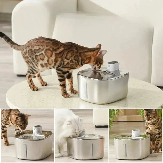 Fontaine à eau chat 4L - Pratique et hygiénique