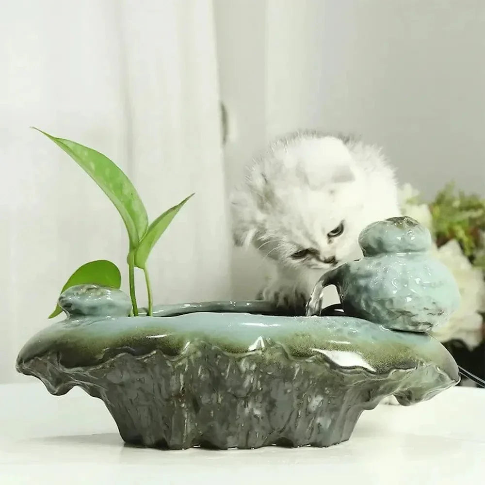 Fontaine à eau chat en grenouille - Design apaisant