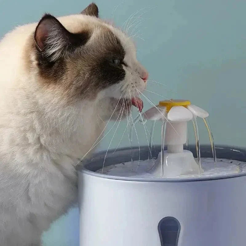 Fontaine à eau chat fleur - Eau pure & fraîche en continu