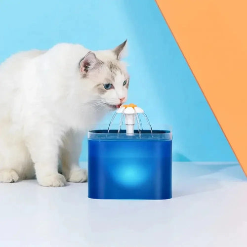 Fontaine à eau chat led - 2L, pratique et écologique