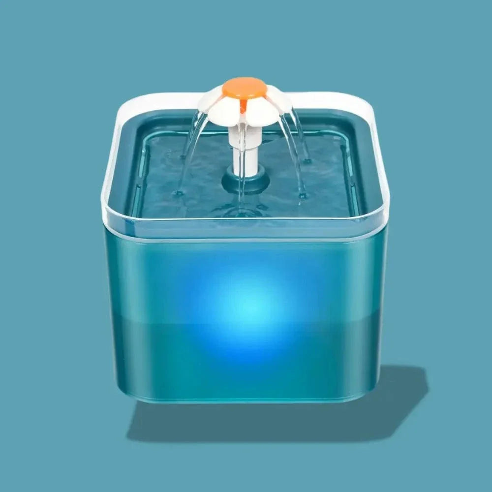 Fontaine à eau chat led - 2L, pratique et écologique Griffe d'Amour
