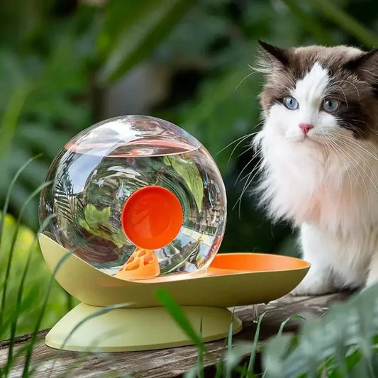Fontaine à eau pour chat escargot - Encourage l'hydratation