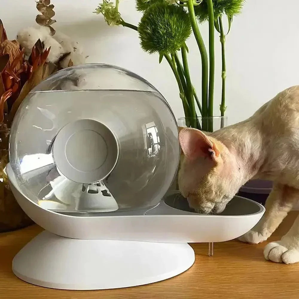Fontaine à eau pour chat escargot - Encourage l'hydratation