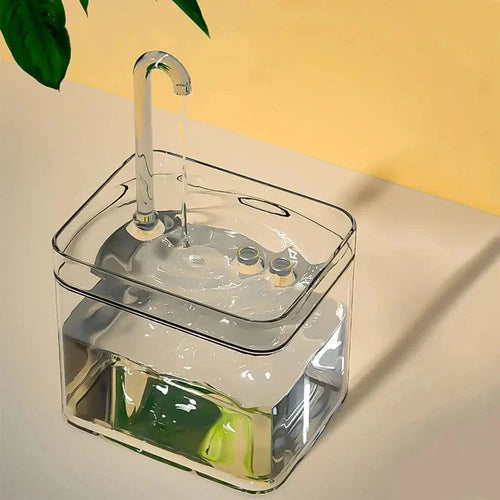 Fontaine à eau transparente pour chat - Design pratique et pur