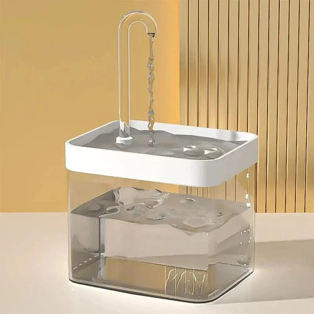 Fontaine à eau transparente pour chat Griffe d'Amour