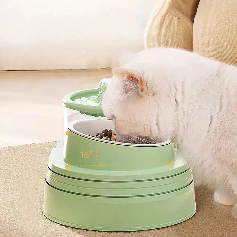 Fontaine à eau et croquette chat - Hydratation et repas faciles