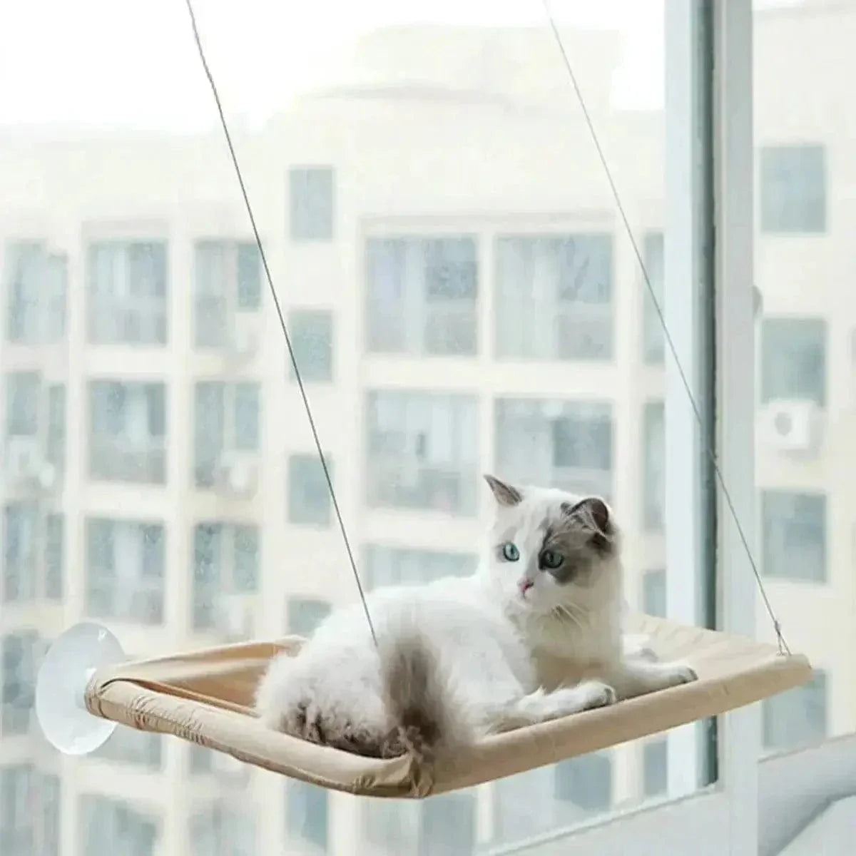 Hamac de fenêtre pour chat