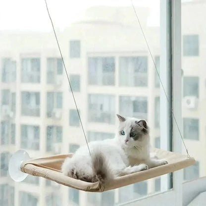 Hamac de fenêtre pour chat