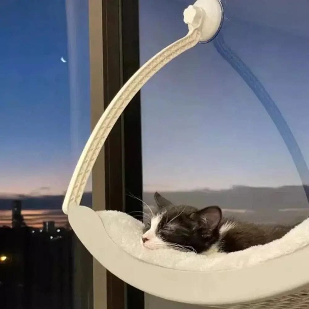 Hamac pour chat ventouse