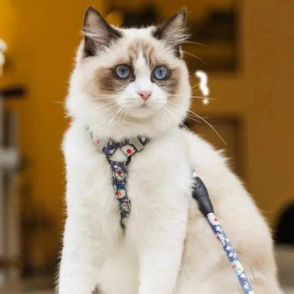 Harnais chat anti-étranglement - Sécurité et confort