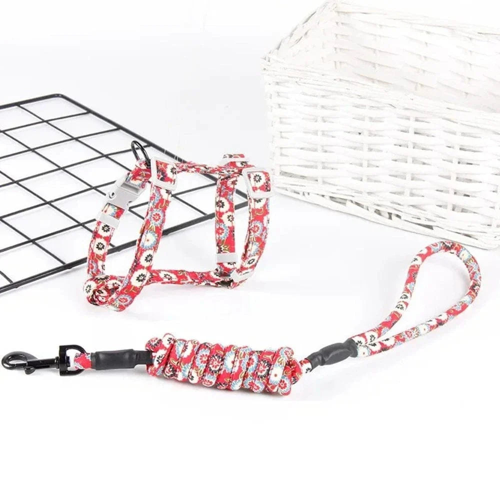 Harnais chat anti-étranglement - Sécurité et confort Griffe d'Amour