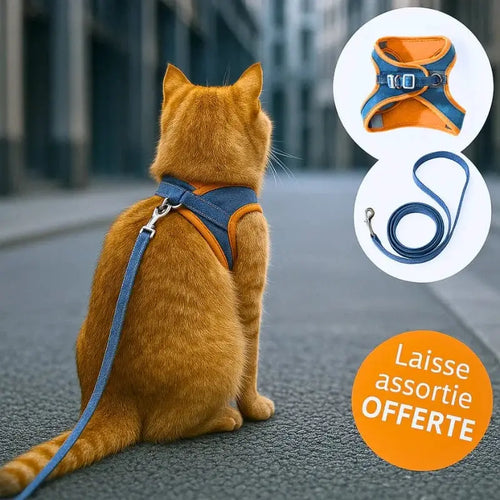Harnais chat anti-fugue - Sécurité renforcée | WayPaw