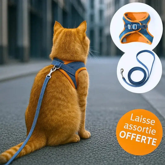 Harnais chat anti-fugue - Sécurité renforcée | WayPaw