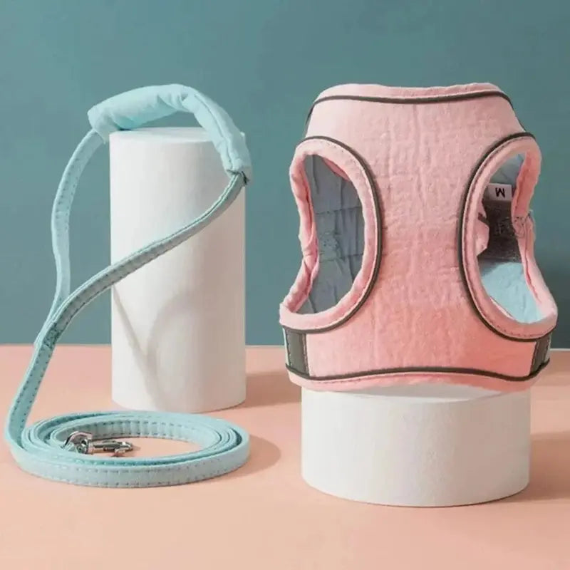 Harnais chat anti-fugue - Sécurité renforcée | WayPaw